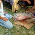 USA ID Boise 7011WestAshland 2005JUL30 Party FitzysPool 015  ..... a fair dose of homemade stuffing ..... : 2005, 7011 West Ashland, Americas, Boise, Date, Events, Fitzy's Pool Party, Idaho, July, Month, North America, Parties, Places, USA, Year