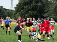 AUS NSW Sydney 2010OCT01 GO v ChibaKen 019 : 2010, 2010 Sydney Golden Oldies, Australia, Chiba Ken, Date, Golden Oldies Rugby Union, Japan, Month, NSW, October, Places, Rugby Union, Sports, Sydney, Teams, Year