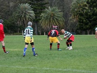 AUS NSW Sydney 2010OCT01 GO v ChibaKen 026 : 2010, 2010 Sydney Golden Oldies, Australia, Chiba Ken, Date, Golden Oldies Rugby Union, Japan, Month, NSW, October, Places, Rugby Union, Sports, Sydney, Teams, Year