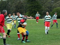 AUS NSW Sydney 2010OCT01 GO v ChibaKen 032 : 2010, 2010 Sydney Golden Oldies, Australia, Chiba Ken, Date, Golden Oldies Rugby Union, Japan, Month, NSW, October, Places, Rugby Union, Sports, Sydney, Teams, Year