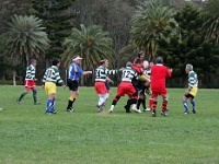AUS NSW Sydney 2010OCT01 GO v ChibaKen 037 : 2010, 2010 Sydney Golden Oldies, Australia, Chiba Ken, Date, Golden Oldies Rugby Union, Japan, Month, NSW, October, Places, Rugby Union, Sports, Sydney, Teams, Year