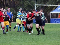 AUS NSW Sydney 2010OCT01 GO v ChibaKen 057 : 2010, 2010 Sydney Golden Oldies, Australia, Chiba Ken, Date, Golden Oldies Rugby Union, Japan, Month, NSW, October, Places, Rugby Union, Sports, Sydney, Teams, Year