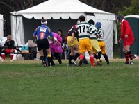 AUS NSW Sydney 2010OCT01 GO v ChibaKen 143 : 2010, 2010 Sydney Golden Oldies, Australia, Chiba Ken, Date, Golden Oldies Rugby Union, Japan, Month, NSW, October, Places, Rugby Union, Sports, Sydney, Teams, Year