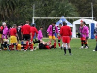 AUS NSW Sydney 2010OCT01 GO v ChibaKen 181 : 2010, 2010 Sydney Golden Oldies, Australia, Chiba Ken, Date, Golden Oldies Rugby Union, Japan, Month, NSW, October, Places, Rugby Union, Sports, Sydney, Teams, Year