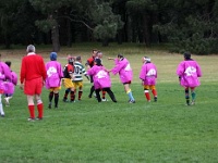 AUS NSW Sydney 2010OCT01 GO v ChibaKen 197 : 2010, 2010 Sydney Golden Oldies, Australia, Chiba Ken, Date, Golden Oldies Rugby Union, Japan, Month, NSW, October, Places, Rugby Union, Sports, Sydney, Teams, Year