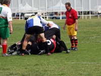 AUS NSW Sydney 2010SEPT27 GO v ManawatuEvergreens 020 : 2010, 2010 Sydney Golden Oldies, Australia, Date, Golden Oldies Rugby Union, Manawatu Evergreens, Month, NSW, New Zealand, Places, Rugby Union, September, Sports, Sydney, Teams, Year