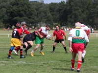 AUS NSW Sydney 2010SEPT27 GO v ManawatuEvergreens 021 : 2010, 2010 Sydney Golden Oldies, Australia, Date, Golden Oldies Rugby Union, Manawatu Evergreens, Month, NSW, New Zealand, Places, Rugby Union, September, Sports, Sydney, Teams, Year