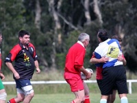 AUS NSW Sydney 2010SEPT27 GO v ManawatuEvergreens 024 : 2010, 2010 Sydney Golden Oldies, Australia, Date, Golden Oldies Rugby Union, Manawatu Evergreens, Month, NSW, New Zealand, Places, Rugby Union, September, Sports, Sydney, Teams, Year
