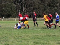AUS NSW Sydney 2010SEPT27 GO v ManawatuEvergreens 028 : 2010, 2010 Sydney Golden Oldies, Australia, Date, Golden Oldies Rugby Union, Manawatu Evergreens, Month, NSW, New Zealand, Places, Rugby Union, September, Sports, Sydney, Teams, Year