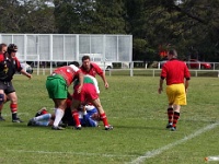AUS NSW Sydney 2010SEPT27 GO v ManawatuEvergreens 029 : 2010, 2010 Sydney Golden Oldies, Australia, Date, Golden Oldies Rugby Union, Manawatu Evergreens, Month, NSW, New Zealand, Places, Rugby Union, September, Sports, Sydney, Teams, Year