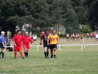 AUS NSW Sydney 2010SEPT27 GO v ManawatuEvergreens 038 : 2010, 2010 Sydney Golden Oldies, Australia, Date, Golden Oldies Rugby Union, Manawatu Evergreens, Month, NSW, New Zealand, Places, Rugby Union, September, Sports, Sydney, Teams, Year