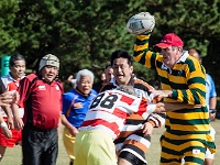 JPN KYU Fukuoka 2012NOV02 GO Day03 014 : 2012, 2012 Fukuoka Golden Oldies, Alice Springs Dingoes Rugby Union Football CLub, Asia, Date, Fukuoka, Fukuoka Prefecture, Golden Oldies Rugby Union, Japan, Month, November, Places, Region Kyushu, Rugby Union, Sports, Year