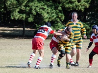 JPN KYU Fukuoka 2012NOV02 GO Day03 016 : 2012, 2012 Fukuoka Golden Oldies, Alice Springs Dingoes Rugby Union Football CLub, Asia, Date, Fukuoka, Fukuoka Prefecture, Golden Oldies Rugby Union, Japan, Month, November, Places, Region Kyushu, Rugby Union, Sports, Year