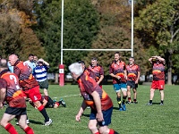 NZL CAN Christchurch 2018APR25 GO Dingoes v AVR 045 : - DATE, - PLACES, - SPORTS, - TRIPS, 10's, 2018, 2018 - Kiwi Kruisin, 2018 Christchurch Golden Oldies, Alice Springs Dingoes Rugby Union Football CLub, Alice Springs Dingoes Rugby Union Football Club, April, Argentina, Associació Veterans Rugby Barcelona, Canterbury, Christchurch, Day, Golden Oldies Rugby Union, Month, New Zealand, Oceania, Rugby Union, South Hagley Park, Spain, Teams, The Gaucho, Wednesday, Year
