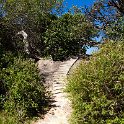 TZA SHI SerengetiNP 2016DEC25 Moru4Area 006 : 2016, 2016 - African Adventures, Africa, Date, December, Eastern, Month, Moru 4 Area, Places, Serengeti National Park, Shinyanga, Tanzania, Trips, Year