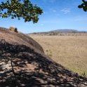 TZA SHI SerengetiNP 2016DEC25 Moru4Area 007 : 2016, 2016 - African Adventures, Africa, Date, December, Eastern, Month, Moru 4 Area, Places, Serengeti National Park, Shinyanga, Tanzania, Trips, Year