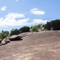 TZA SHI SerengetiNP 2016DEC25 Moru4Area 008 : 2016, 2016 - African Adventures, Africa, Date, December, Eastern, Month, Moru 4 Area, Places, Serengeti National Park, Shinyanga, Tanzania, Trips, Year
