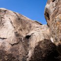 TZA SHI SerengetiNP 2016DEC25 Moru4Area 010 : 2016, 2016 - African Adventures, Africa, Date, December, Eastern, Month, Moru 4 Area, Places, Serengeti National Park, Shinyanga, Tanzania, Trips, Year