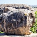 TZA SHI SerengetiNP 2016DEC25 Moru4Area 012 : 2016, 2016 - African Adventures, Africa, Date, December, Eastern, Month, Moru 4 Area, Places, Serengeti National Park, Shinyanga, Tanzania, Trips, Year