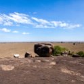 TZA SHI SerengetiNP 2016DEC25 Moru4Area 013 : 2016, 2016 - African Adventures, Africa, Date, December, Eastern, Month, Moru 4 Area, Places, Serengeti National Park, Shinyanga, Tanzania, Trips, Year
