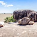 TZA SHI SerengetiNP 2016DEC25 Moru4Area 028 : 2016, 2016 - African Adventures, Africa, Date, December, Eastern, Month, Moru 4 Area, Places, Serengeti National Park, Shinyanga, Tanzania, Trips, Year