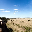 TZA SHI SerengetiNP 2016DEC25 Moru4Area 032 : 2016, 2016 - African Adventures, Africa, Date, December, Eastern, Month, Moru 4 Area, Places, Serengeti National Park, Shinyanga, Tanzania, Trips, Year
