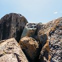 TZA SHI SerengetiNP 2016DEC25 Moru4Area 035 : 2016, 2016 - African Adventures, Africa, Date, December, Eastern, Month, Moru 4 Area, Places, Serengeti National Park, Shinyanga, Tanzania, Trips, Year