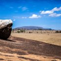 TZA SHI SerengetiNP 2016DEC25 Moru4Area 039 : 2016, 2016 - African Adventures, Africa, Date, December, Eastern, Month, Moru 4 Area, Places, Serengeti National Park, Shinyanga, Tanzania, Trips, Year