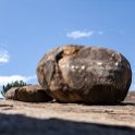 TZA SHI SerengetiNP 2016DEC25 Moru4Area 043 : 2016, 2016 - African Adventures, Africa, Date, December, Eastern, Month, Moru 4 Area, Places, Serengeti National Park, Shinyanga, Tanzania, Trips, Year