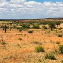 TZA TAN Mkomazi 2016DEC22 RoadB1 001 : 2016, 2016 - African Adventures, Africa, Date, December, Eastern, Mkomazi, Month, Places, Tanga, Tanzania, Trips, Year
