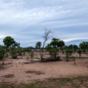 ZMB NOR SouthLuangwa 2016DEC10 NP 017 : Africa, Eastern, National Park, Northern, Places, South Luangwa, Zambia
