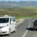 MAR FES Volubilis 2016DEC31 002 : 2016, 2016 - African Adventures, Africa, Date, December, Fès-Meknès, Month, Morocco, Northern, Places, Trips, Volubilis, Year