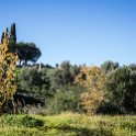 MAR FES Volubilis 2016DEC31 009 : 2016, 2016 - African Adventures, Africa, Date, December, Fès-Meknès, Month, Morocco, Northern, Places, Trips, Volubilis, Year