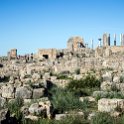 MAR FES Volubilis 2016DEC31 019 : 2016, 2016 - African Adventures, Africa, Date, December, Fès-Meknès, Month, Morocco, Northern, Places, Trips, Volubilis, Year