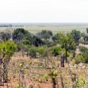 BWA NW Chobe 2016DEC04 NP 010 : 2016, 2016 - African Adventures, Africa, Botswana, Chobe National Park, Date, December, Month, Northwest, Places, Southern, Trips, Year