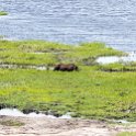 BWA NW Chobe 2016DEC04 NP 033 : 2016, 2016 - African Adventures, Africa, Botswana, Chobe National Park, Date, December, Month, Northwest, Places, Southern, Trips, Year