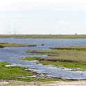 BWA NW Chobe 2016DEC04 NP 035 : 2016, 2016 - African Adventures, Africa, Botswana, Chobe National Park, Date, December, Month, Northwest, Places, Southern, Trips, Year