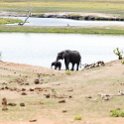 BWA NW Chobe 2016DEC04 NP 070 : 2016, 2016 - African Adventures, Africa, Botswana, Chobe National Park, Date, December, Month, Northwest, Places, Southern, Trips, Year