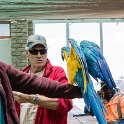 NAM ERO Swakopmund 2016NOV22 DEAC 005 : 2016, 2016 - African Adventures, Africa, Date, Desert Explorers Adventure Centre, Erongo, Month, Namibia, November, Places, Southern, Swakopmund, Trips, Year
