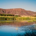 ZAF NC NAM Vioolsdrif 2016NOV18 FiddlersCreek 005 : November, 2016, Vioolsdrif, Namakwa, Northern Cape, South Africa, Southern, Africa, Fiddlers Creek Rest Camp, 2016 - African Adventures