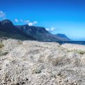 ZAF WC CapeTown 2016NOV14 CampsBay 009 : 2016, 2016 - African Adventures, Africa, November, South Africa, Southern, Western Cape, Cape Town, Camps Bay