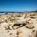 ZAF WC CapePoint 2016NOV14 CapeOfGoodHope 003 : 2016, 2016 - African Adventures, Africa, November, South Africa, Southern, Western Cape, Cape Point, Cape Peninsula, Cape Town, Cape Of Good Hope
