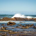 ZAF WC CapePoint 2016NOV14 CapeOfGoodHope 005 : 2016, 2016 - African Adventures, Africa, November, South Africa, Southern, Western Cape, Cape Point, Cape Peninsula, Cape Town, Cape Of Good Hope