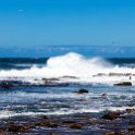 ZAF WC CapePoint 2016NOV14 CapeOfGoodHope 009 : 2016, 2016 - African Adventures, Africa, November, South Africa, Southern, Western Cape, Cape Point, Cape Peninsula, Cape Town, Cape Of Good Hope