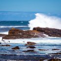 ZAF WC CapePoint 2016NOV14 CapeOfGoodHope 010 : 2016, 2016 - African Adventures, Africa, November, South Africa, Southern, Western Cape, Cape Point, Cape Peninsula, Cape Town, Cape Of Good Hope