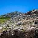 ZAF WC CapePoint 2016NOV14 CapeOfGoodHope 014 : 2016, 2016 - African Adventures, Africa, November, South Africa, Southern, Western Cape, Cape Point, Cape Peninsula, Cape Town, Cape Of Good Hope