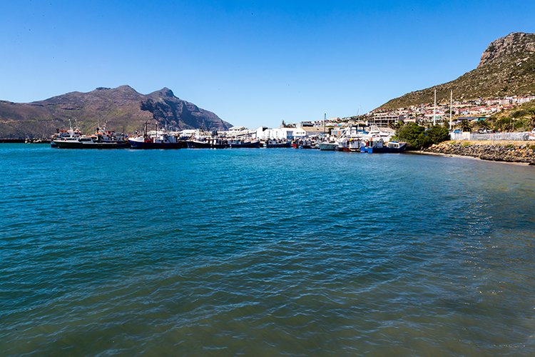 ZAF WC HoutBay 2016NOV14 013