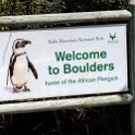 ZAF WC SimonsTown 2016NOV14 Boulders 001 : 2016, 2016 - African Adventures, Africa, November, South Africa, Southern, Western Cape, Simons Town, Cape Town, Boulders