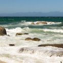ZAF WC SimonsTown 2016NOV14 Boulders 031 : 2016, 2016 - African Adventures, Africa, November, South Africa, Southern, Western Cape, Simons Town, Cape Town, Boulders