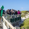 ZAF WC SimonsTown 2016NOV14 Boulders 042 : 2016, 2016 - African Adventures, Africa, November, South Africa, Southern, Western Cape, Simons Town, Cape Town, Boulders
